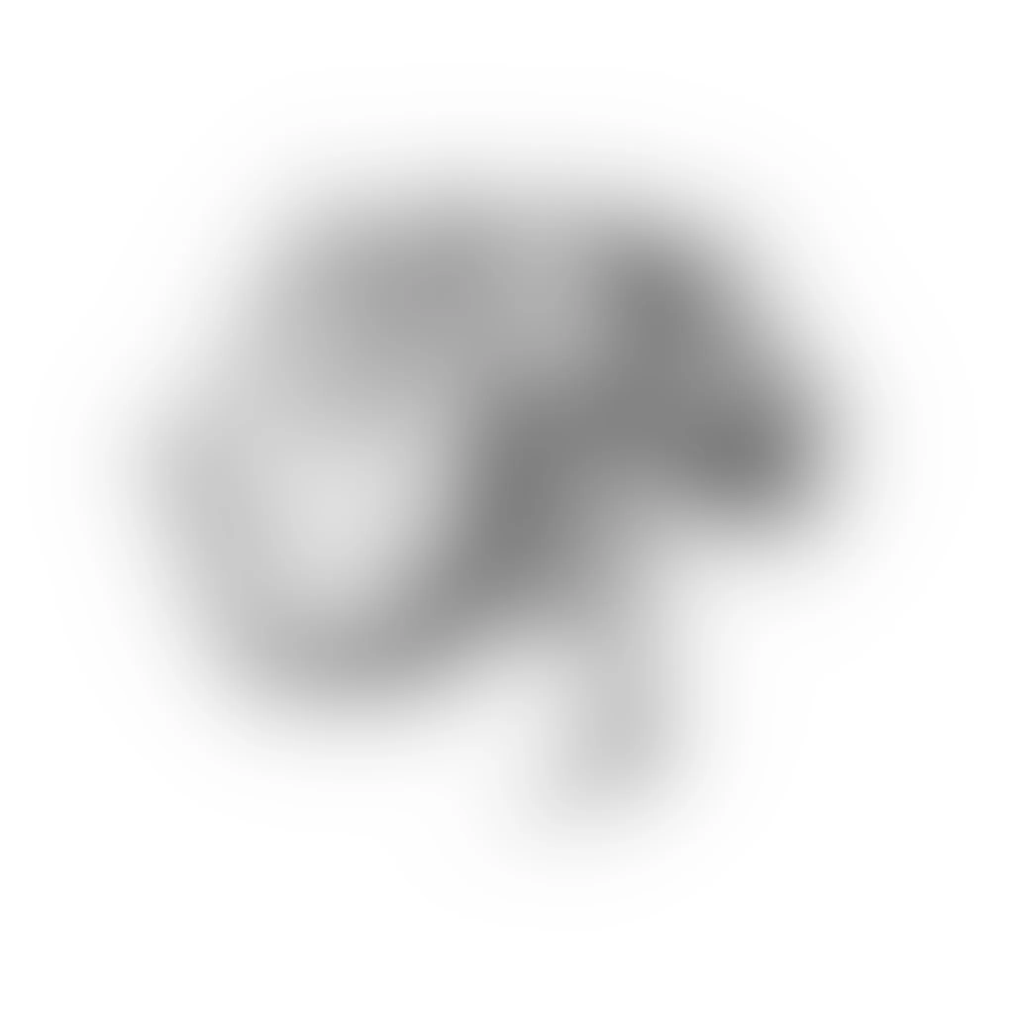 An initial noisy image before denoising begins