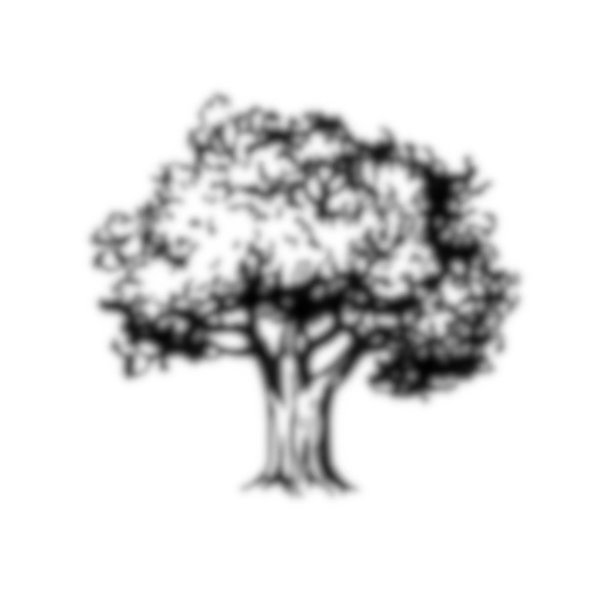 A later denoising step where the image begins to resemble a tree